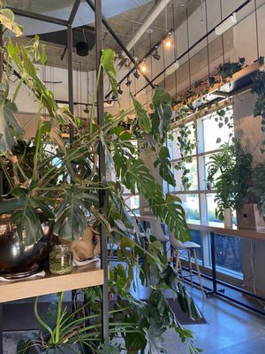 Pono Ono Poke by null