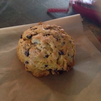 Coffee Gallery - Vegan chocolate chip pumpkin pastry - Coffee & Tea Near Me - Haleiwa, Hawaii Coffee Gallery - Vegan chocolate chip pumpkin pastry - Coffee & Tea Near Me - Haleiwa, Hawaii
