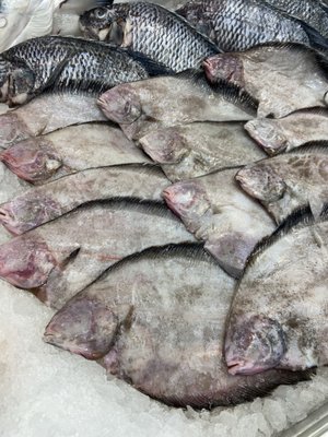 Avenue U Fish Market by null