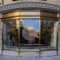 Fossiel