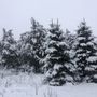 Photo of Nashotah Park Dog Exercise Area