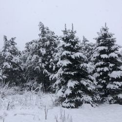 Nashotah Park Dog Exercise Area