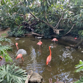 National Aviary - Zoos Near Me - Pittsburgh, Pennsylvania