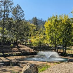Enchanted Hills - Gorgeous grounds and perfect weather!