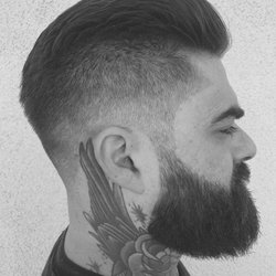 Tennessee Barber