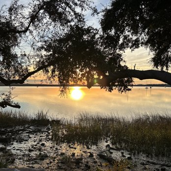 Shellring Ale Works - Breweries Near Me - Port Royal, South Carolina