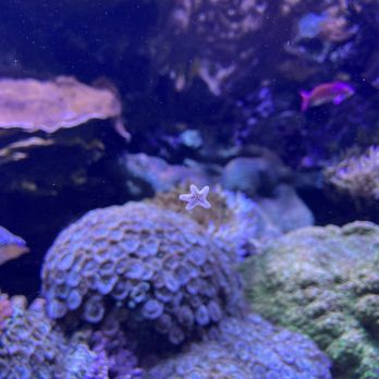 Seattle Aquarium - Aquariums Near Me - Seattle, Washington Seattle Aquarium - Aquariums Near Me - Seattle, Washington