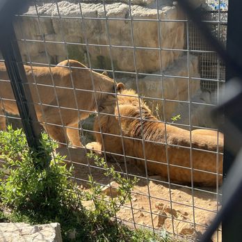 Branson Wild World - Live animal and aquarium - Aquariums Near Me - Branson, Missouri