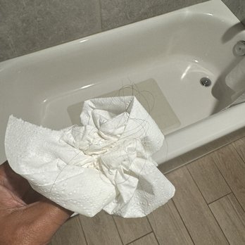 Great Wolf Lodge - Hair found after cleaning the bathroom - Water Parks Near Me - Perryville, Maryland Great Wolf Lodge - Hair found after cleaning the bathroom - Water Parks Near Me - Perryville, Maryland
