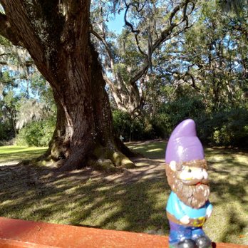 Jungle Gardens - Botanical Gardens Near Me - Avery Island, Louisiana