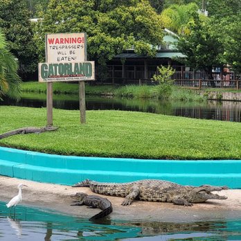 Gatorland - Warning - Zoos Near Me - Orlando, Florida Gatorland - Warning - Zoos Near Me - Orlando, Florida