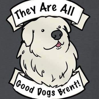 UrgentVet - St. Johns - Veterinarians Near Me - St Johns, Florida UrgentVet - St. Johns - Veterinarians Near Me - St Johns, Florida