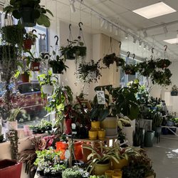 The Pottery Jungle