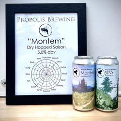 Propolis Brewing - Montem & SPA!