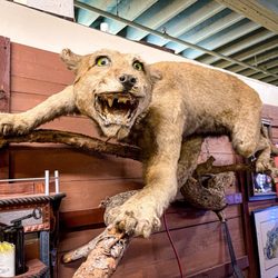 King Richard's Antique Center - Most of these booths look like museum displays. Really cool!