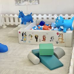 Exclusive Play Soft Play Rentals - Bluey birthday theme