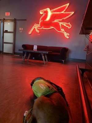 Velvet Lounge by null