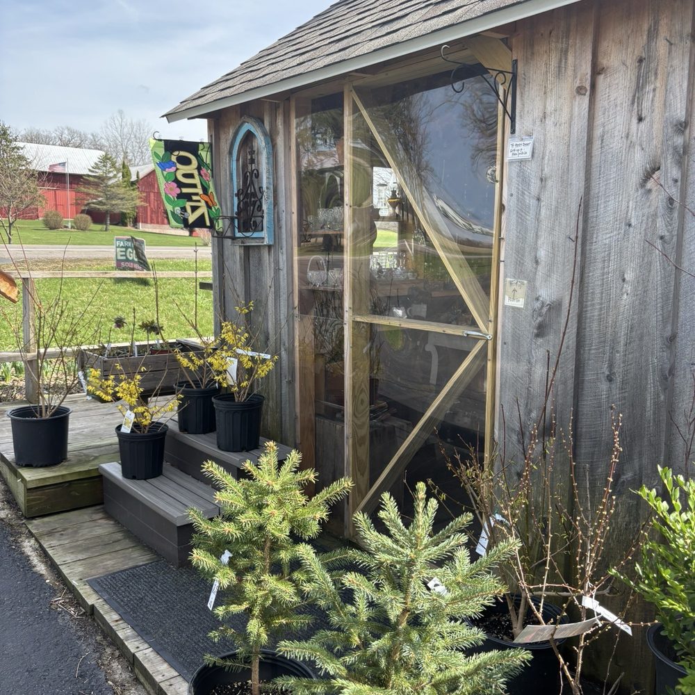 Stoney Creek Nursery - Storefront! - Bookstores Near Me - Genoa, New York Stoney Creek Nursery - Storefront! - Bookstores Near Me - Genoa, New York
