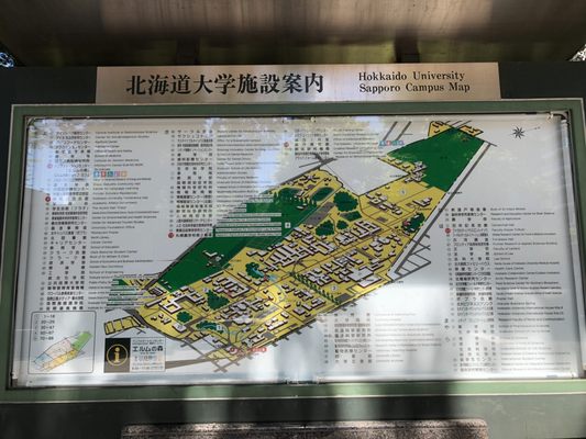 Hokkaido University by null