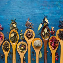 Holistic Health Center of Dallas