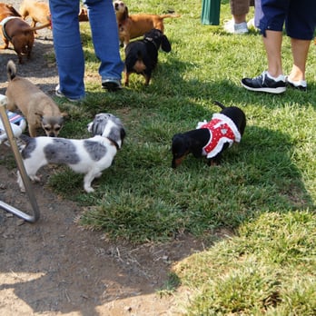 Paso Nogal Park - Dog Parks Near Me - Pleasant Hill, California
