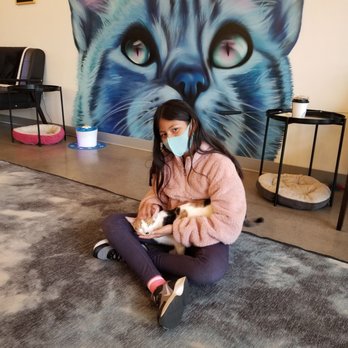 Cat & Craft - Coffee & Tea Near Me - Vista, California Cat & Craft - Coffee & Tea Near Me - Vista, California