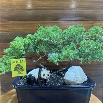 Grow a Leaf Shop - Nurseries & Gardening Near Me - Arcadia, California