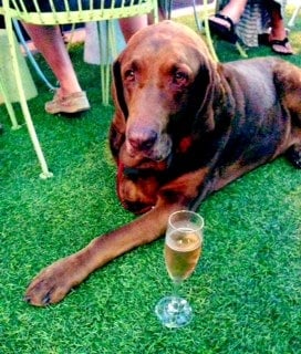 Clearwater Wine Bar & Bistro by null