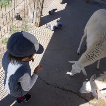 Old MacDonald's Farm - Venues & Event Spaces Near Me - Humble, Texas