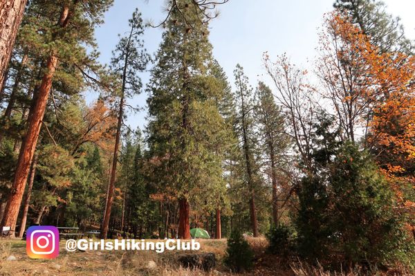 Wawona Campground by null