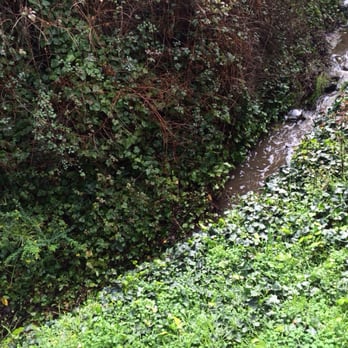 Colton Inn - View from the back patio. A small creek is running behind it. - Hotels Near Me - Monterey, California