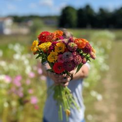 Fieldsview Flower Farm - You-pick flower bouquet