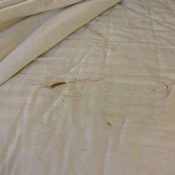 Heritage Inn Yosemite - Stain on sheets - Hotels Near Me - Sonora, California Heritage Inn Yosemite - Stain on sheets - Hotels Near Me - Sonora, California