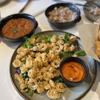 Babalu - Calamari - Latin American Near Me - Knoxville, Tennessee Babalu - Calamari - Latin American Near Me - Knoxville, Tennessee
