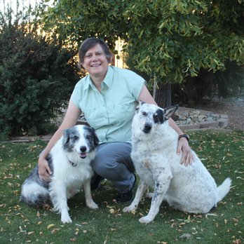 Homeward Bound Veterinary Services - Veterinarians Near Me