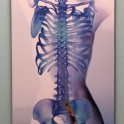 Bayou Chiropractic