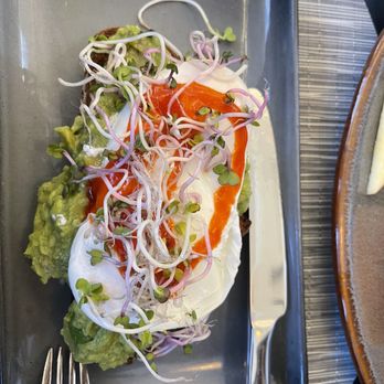 Provisional Kitchen - Avocado Toast - Breakfast & Brunch Near Me - San Diego, California Provisional Kitchen - Avocado Toast - Breakfast & Brunch Near Me - San Diego, California