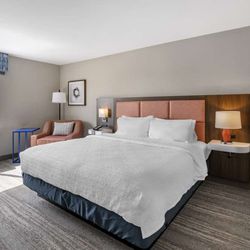 Hampton Inn Nicholasville Brannon Crossing - Guest room