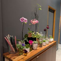 Kunst Coffee Haus - Decor