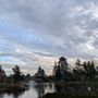 Photo of Mingus Park