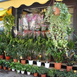 Fioraio di Via Padova