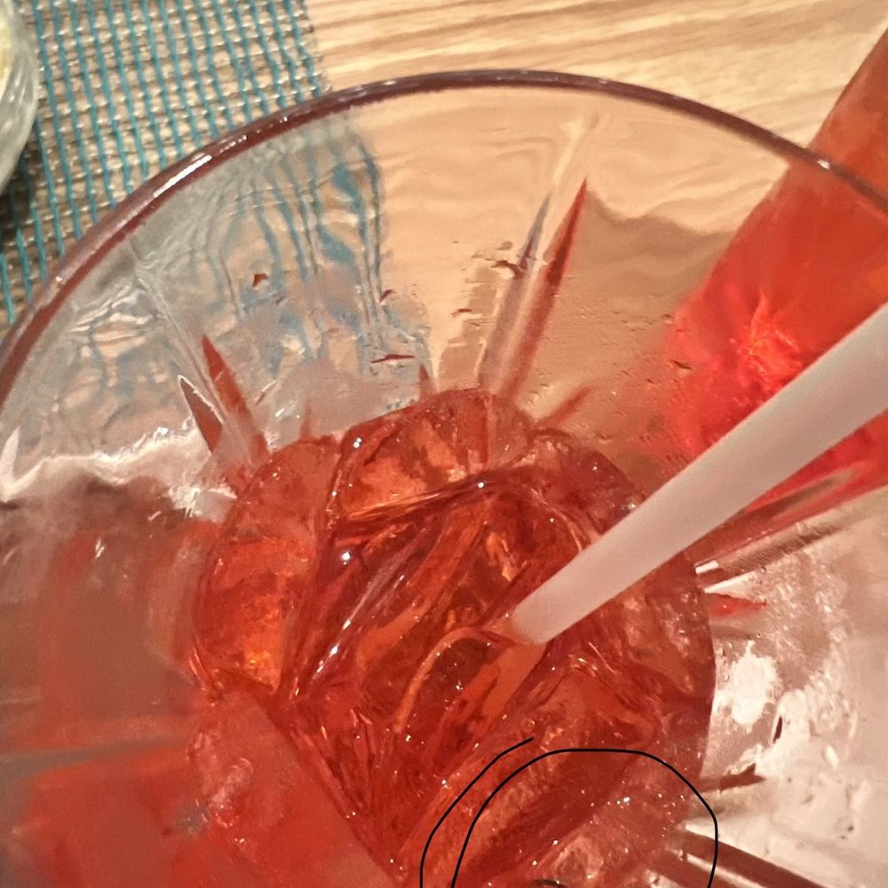 Bocanova - Shirley temple - Latin American Near Me - Oakland, California