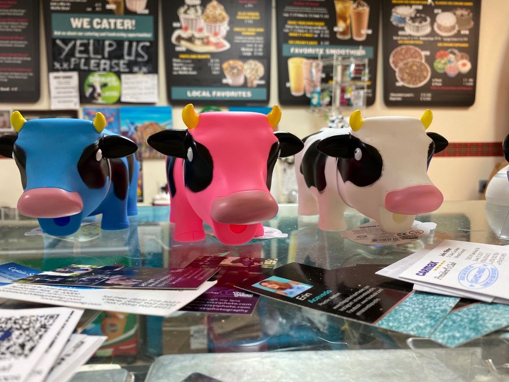 The Magic Cow
