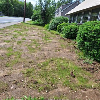 Mount Washington Valley Property Services - This is the patchwork quilt lawn after reseeding by this  " landscaper" - Landscaping Near Me - North Conway , New Hampshire