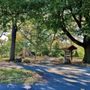 Photo of Canby Grove Park