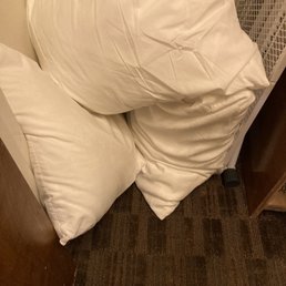 Pillows in closet floor Pillows in closet floor