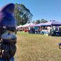 Photo of Old Farmers Day & Horse and Mule Pulling Contest