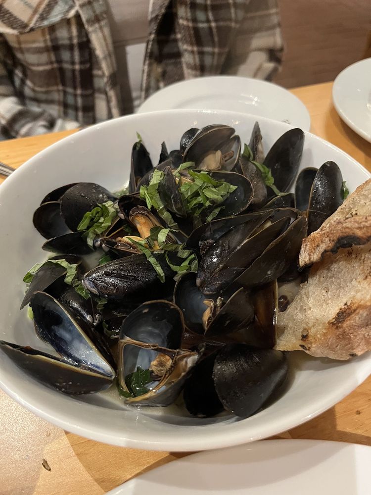 STELLA Updated September 2024 33 Photos & 27 Reviews 33