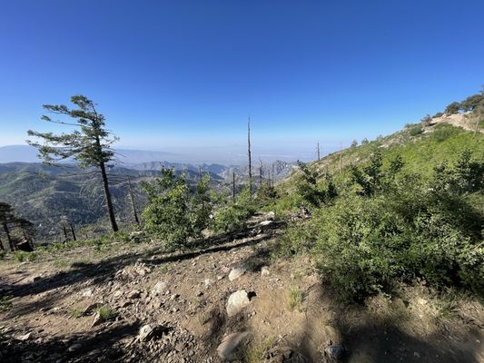 Mt. Lemmon SkyCenter Observatory by null