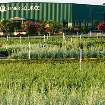 Liner Source, Inc. - LSI Main Office - Nurseries & Gardening Near Me - Eustis, Florida Liner Source, Inc. - LSI Main Office - Nurseries & Gardening Near Me - Eustis, Florida